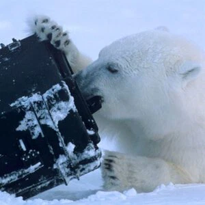 Alternative view of Explorer Cases 3005 Koffer Zwart met Plukschuim