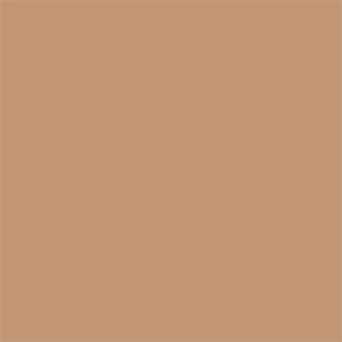 Superior Achtergrondpapier 25 Beige 2,72 x 11m - Afbeelding 2