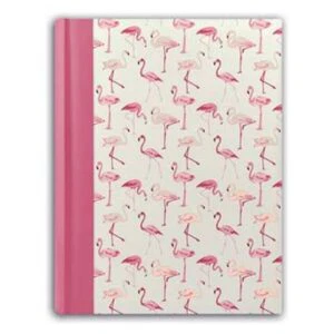 Zep VNN293130 Pergamin Album 30 sheets 29x31 cm