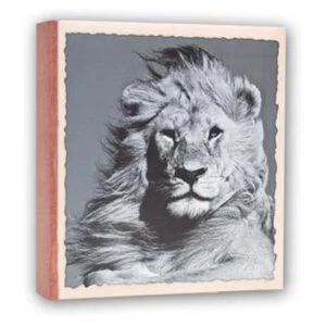 Alternative view of Zep WL57100 Album Slip-in 100 photos 13x19 cm - 12 albums